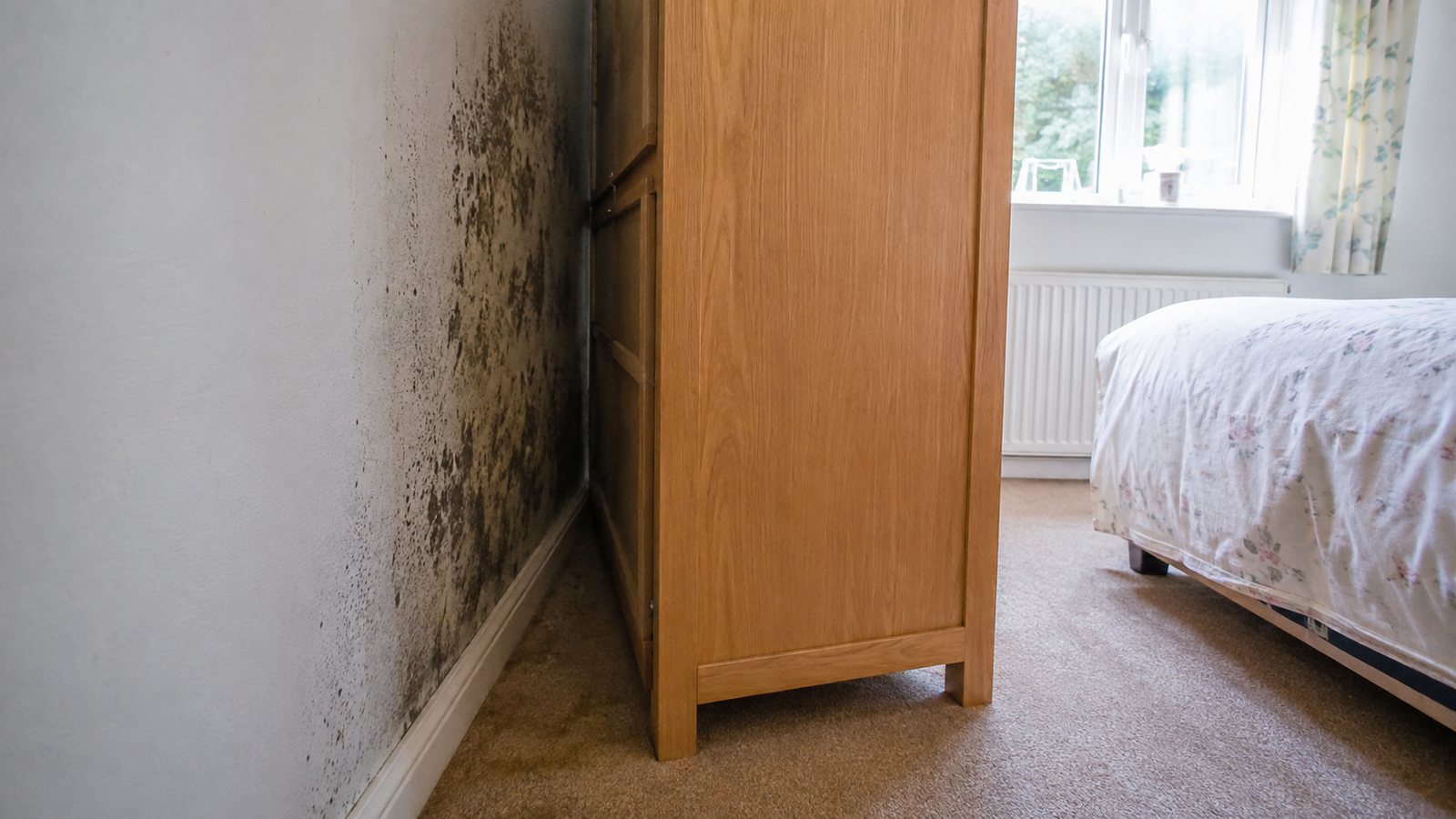 Black mould and condensation damage hidden behind a wardrobe