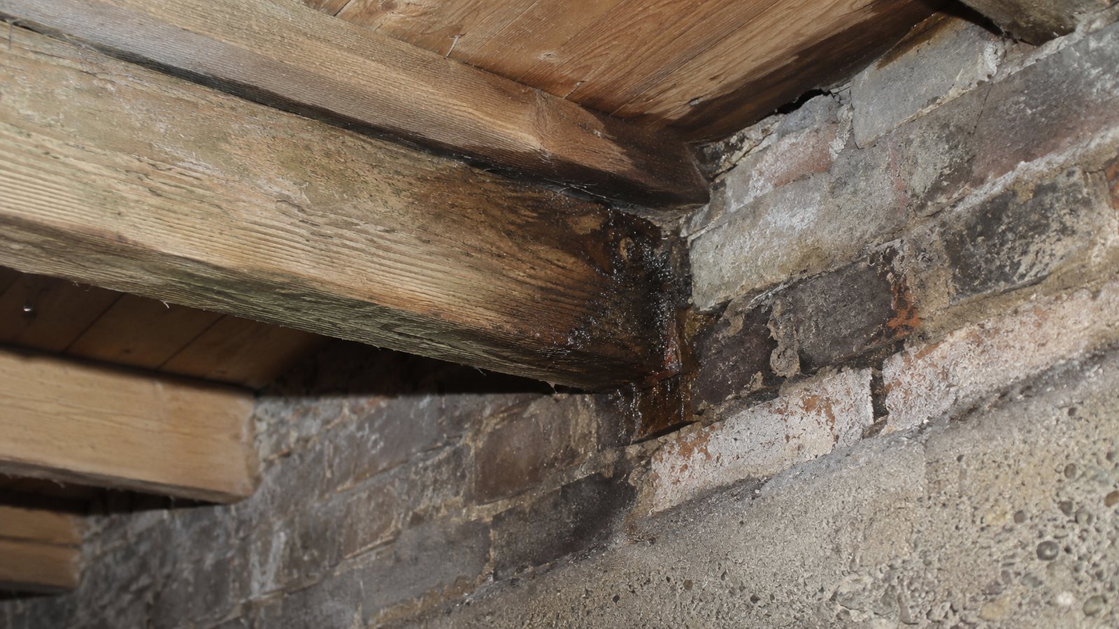 Damp floor joist end where timber meets masonry
