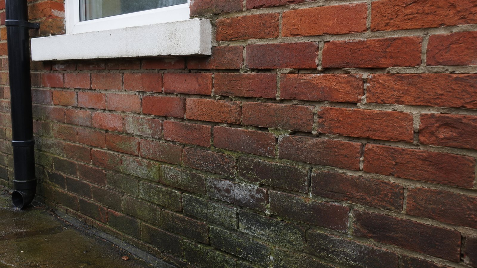 Weathered brickwork with open mortar joints and damp staining