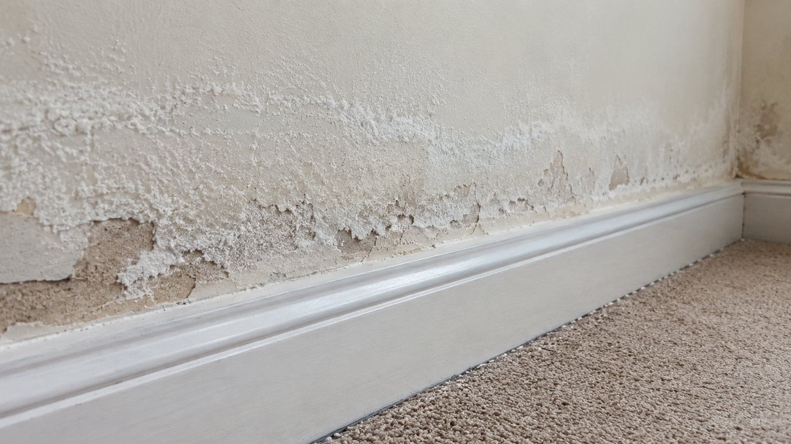 Damp damaged skirting board and low-level wall plaster